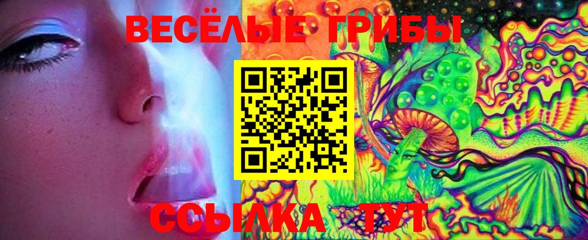 где продают наркотики  Вход с VPN  Псилоцибиновые грибы Psilocybine cubensis  Новодвинск  Галлюциногенные грибы мухоморы 